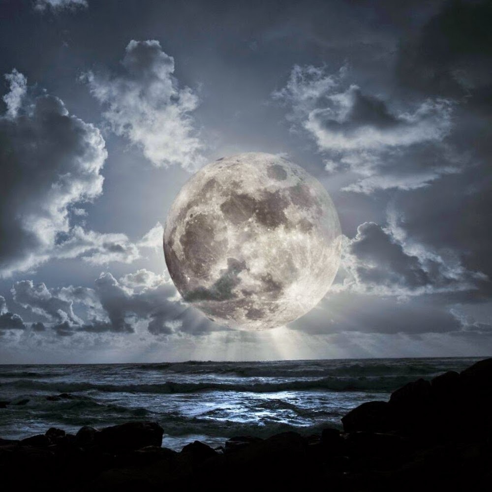 Meet your Posher, Norma